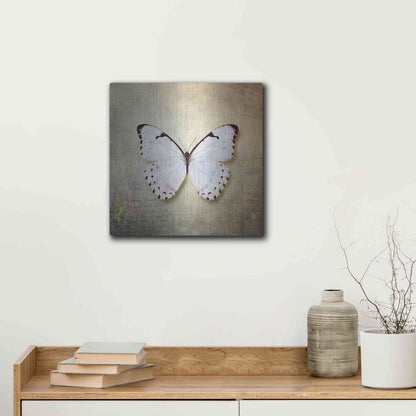 Luxe Metal Art 'French Butterfly II' by Debra Van Swearingen, Metal Wall Art,12x12