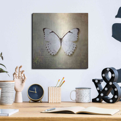 Luxe Metal Art 'French Butterfly II' by Debra Van Swearingen, Metal Wall Art,12x12
