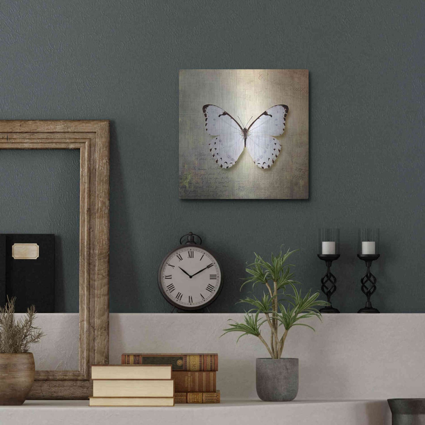 Luxe Metal Art 'French Butterfly II' by Debra Van Swearingen, Metal Wall Art,12x12