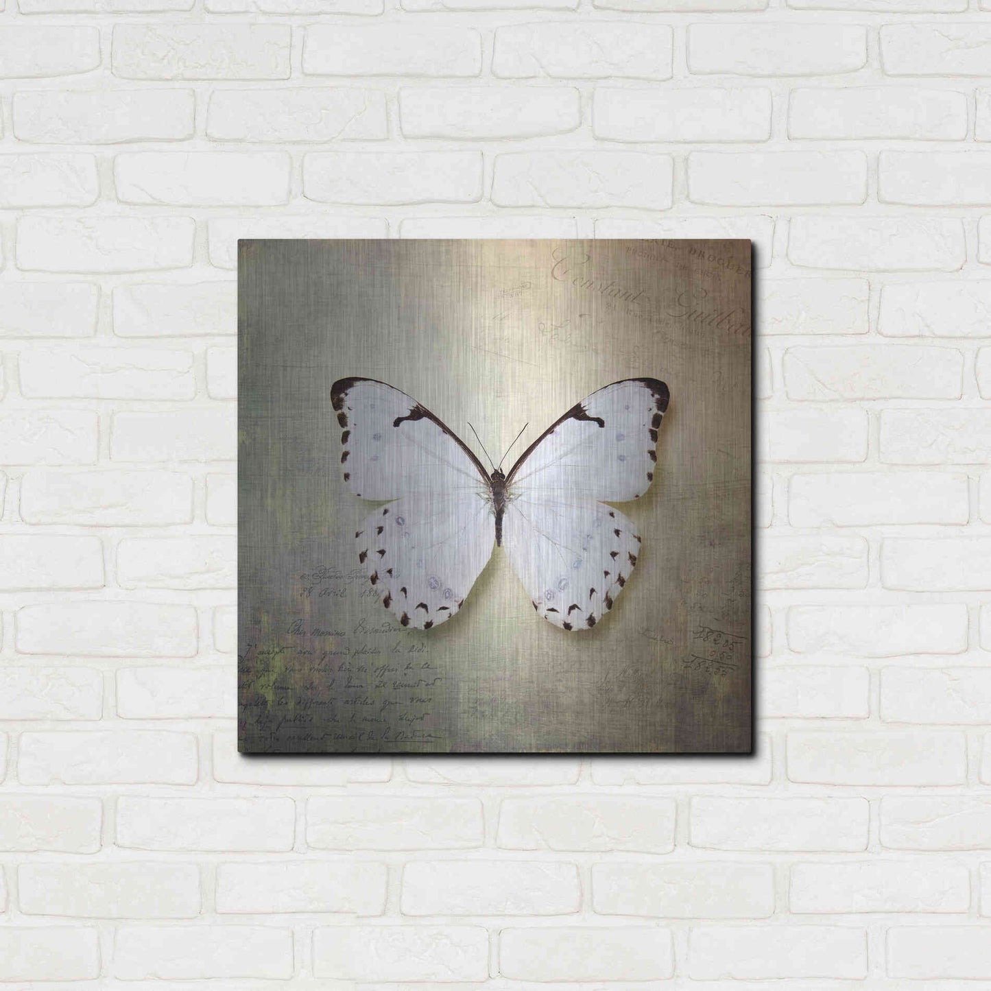 Luxe Metal Art 'French Butterfly II' by Debra Van Swearingen, Metal Wall Art,24x24