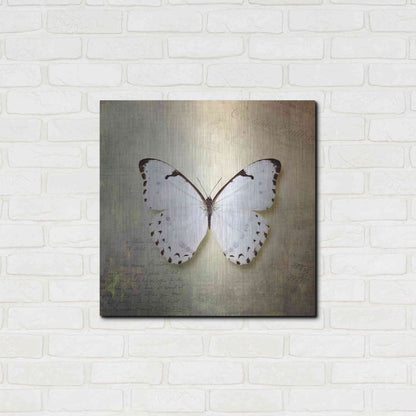 Luxe Metal Art 'French Butterfly II' by Debra Van Swearingen, Metal Wall Art,24x24