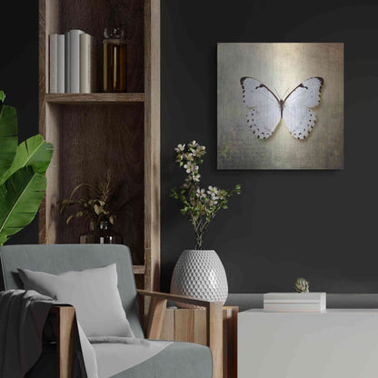 Luxe Metal Art 'French Butterfly II' by Debra Van Swearingen, Metal Wall Art,24x24
