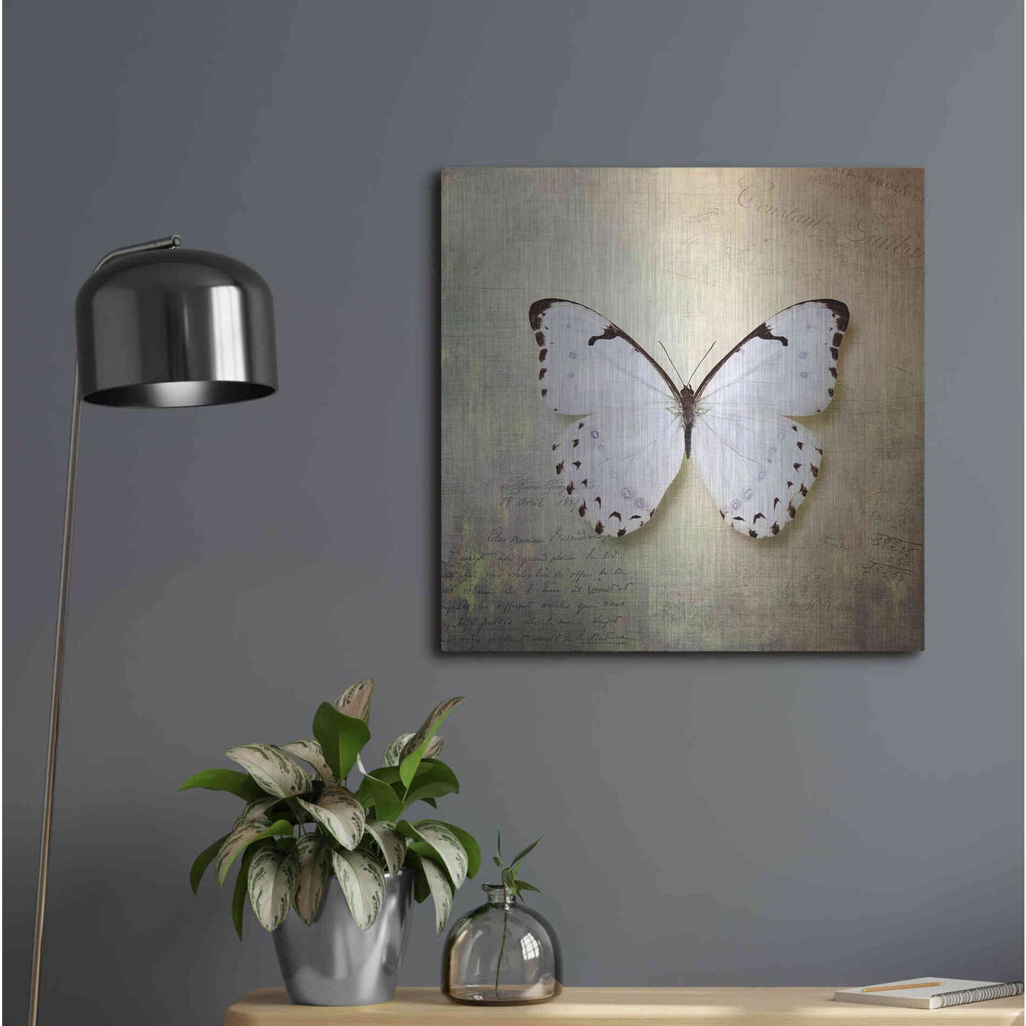 Luxe Metal Art 'French Butterfly II' by Debra Van Swearingen, Metal Wall Art,24x24