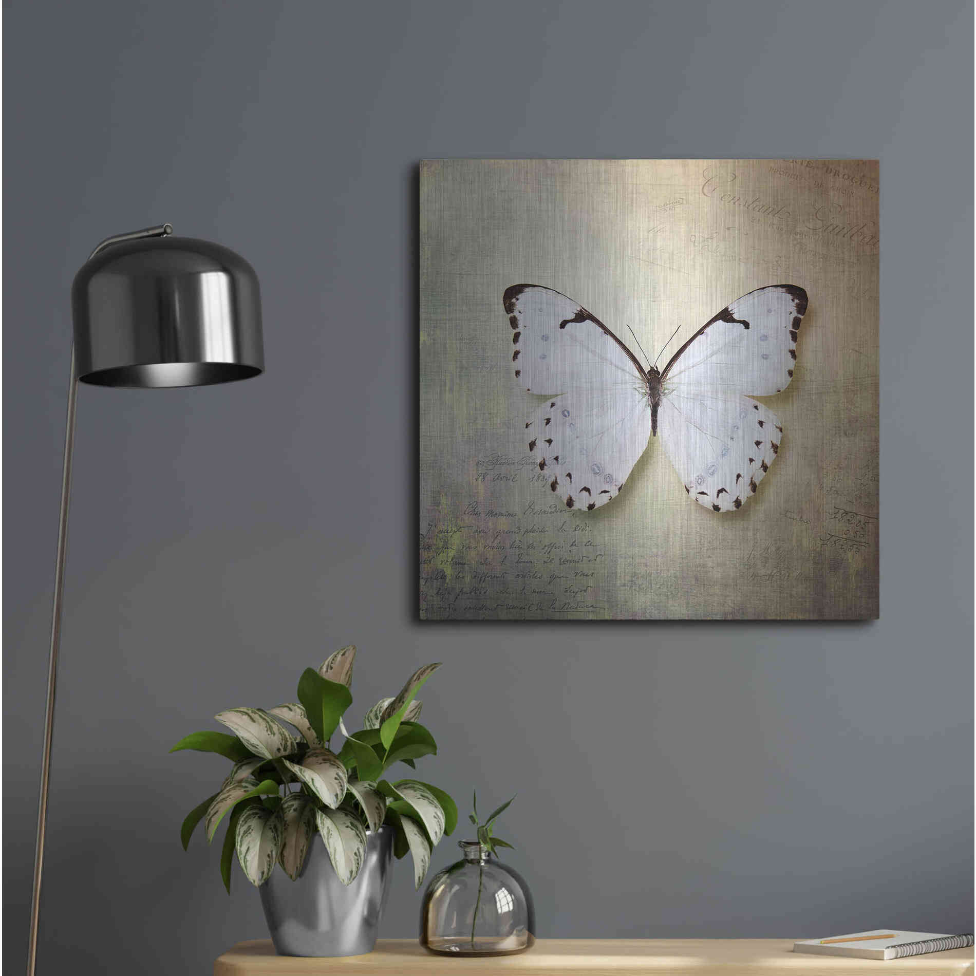 Luxe Metal Art 'French Butterfly II' by Debra Van Swearingen, Metal Wall Art,24x24