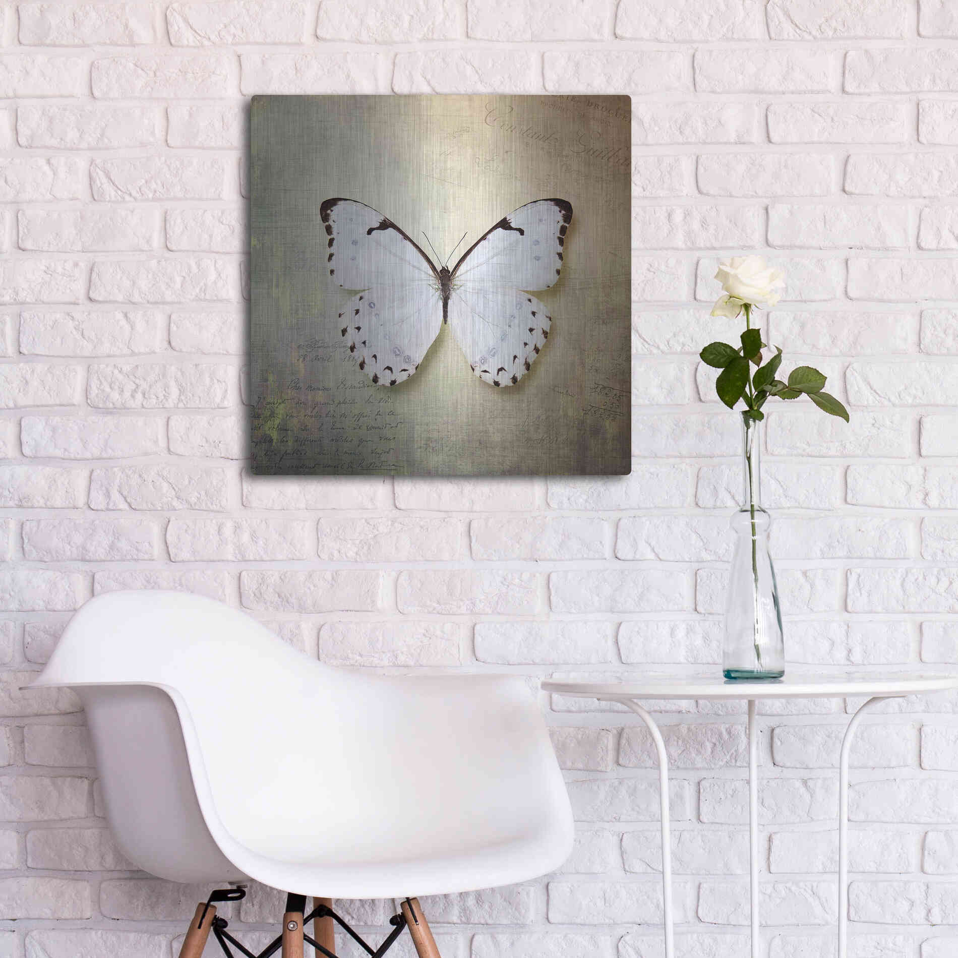Luxe Metal Art 'French Butterfly II' by Debra Van Swearingen, Metal Wall Art,24x24