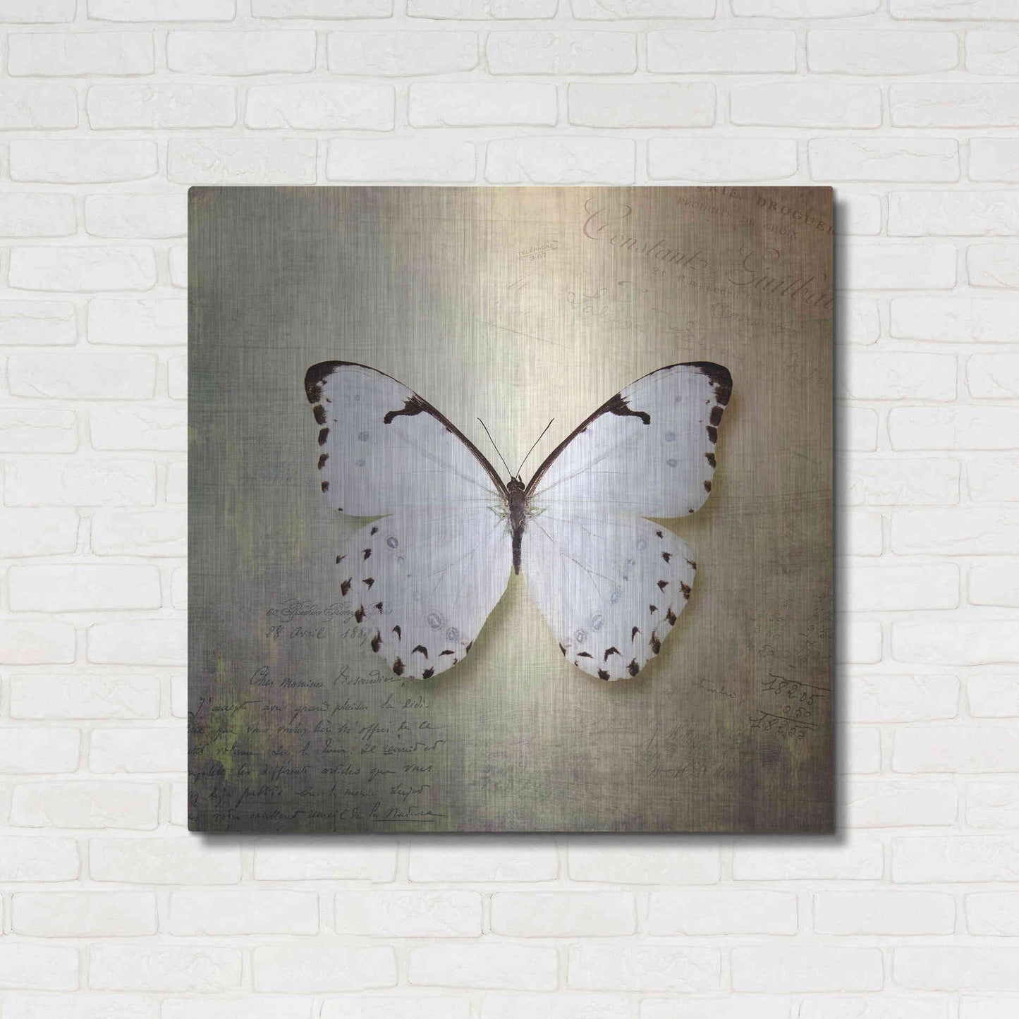 Luxe Metal Art 'French Butterfly II' by Debra Van Swearingen, Metal Wall Art,36x36