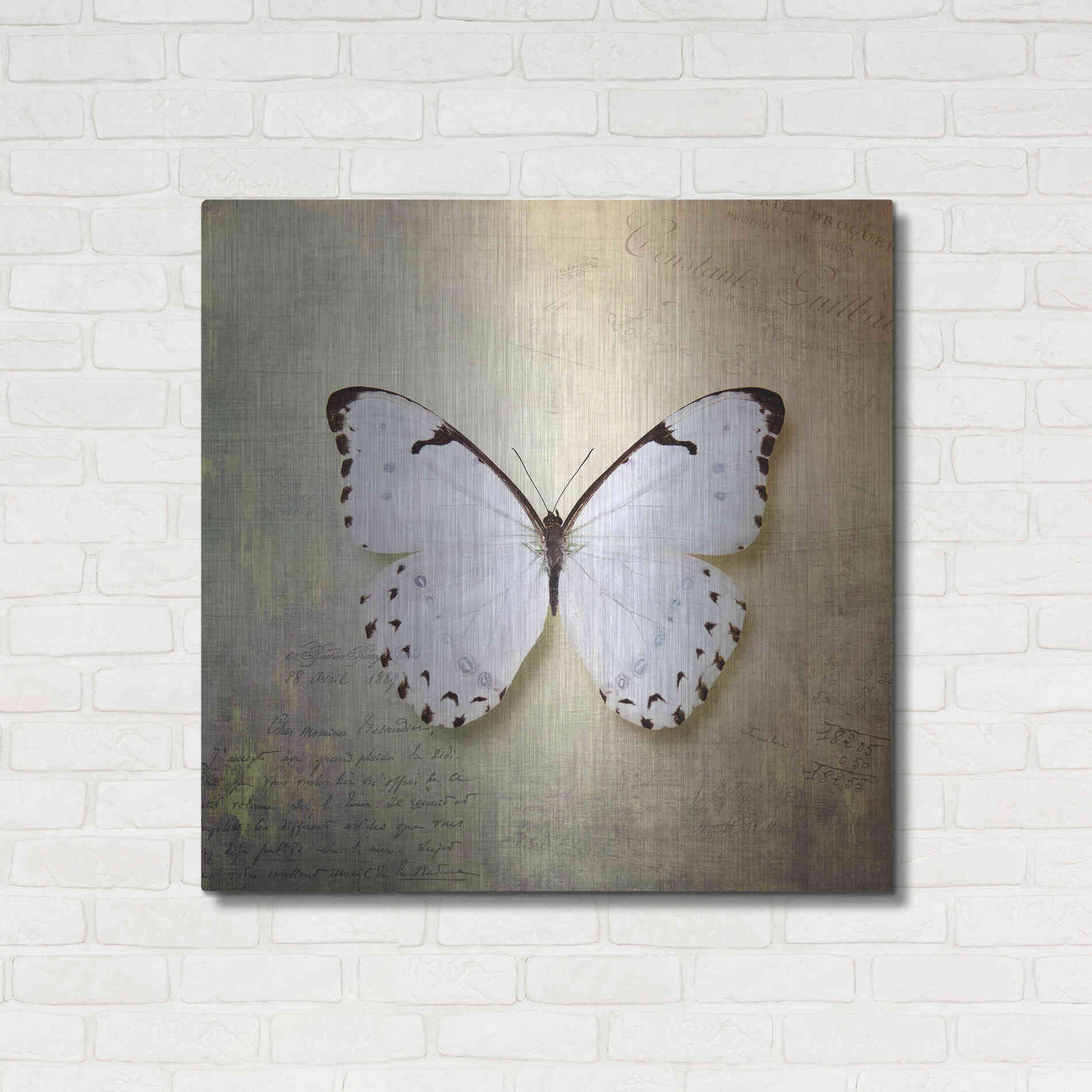 Luxe Metal Art 'French Butterfly II' by Debra Van Swearingen, Metal Wall Art,36x36