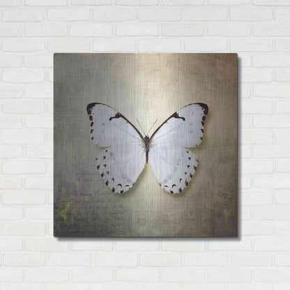 Luxe Metal Art 'French Butterfly II' by Debra Van Swearingen, Metal Wall Art,36x36