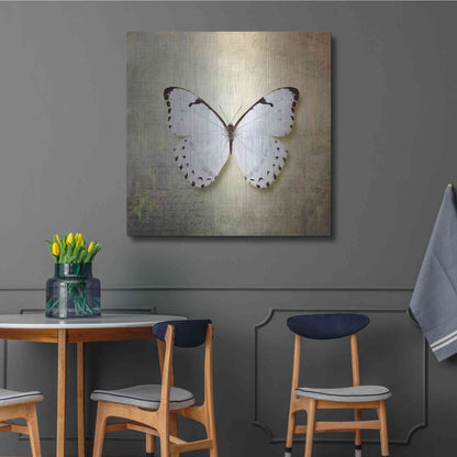 Luxe Metal Art 'French Butterfly II' by Debra Van Swearingen, Metal Wall Art,36x36