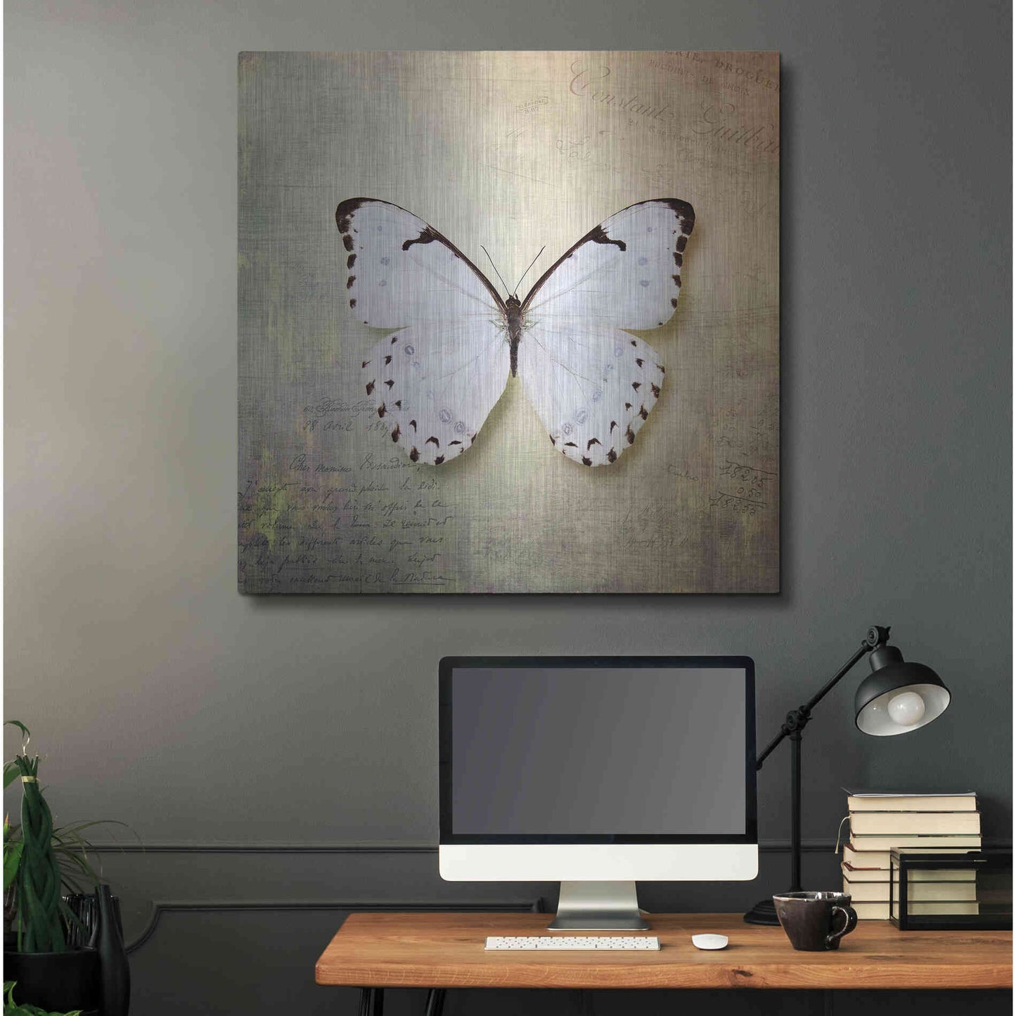 Luxe Metal Art 'French Butterfly II' by Debra Van Swearingen, Metal Wall Art,36x36