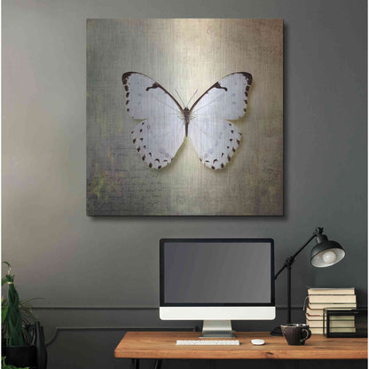 Luxe Metal Art 'French Butterfly II' by Debra Van Swearingen, Metal Wall Art,36x36