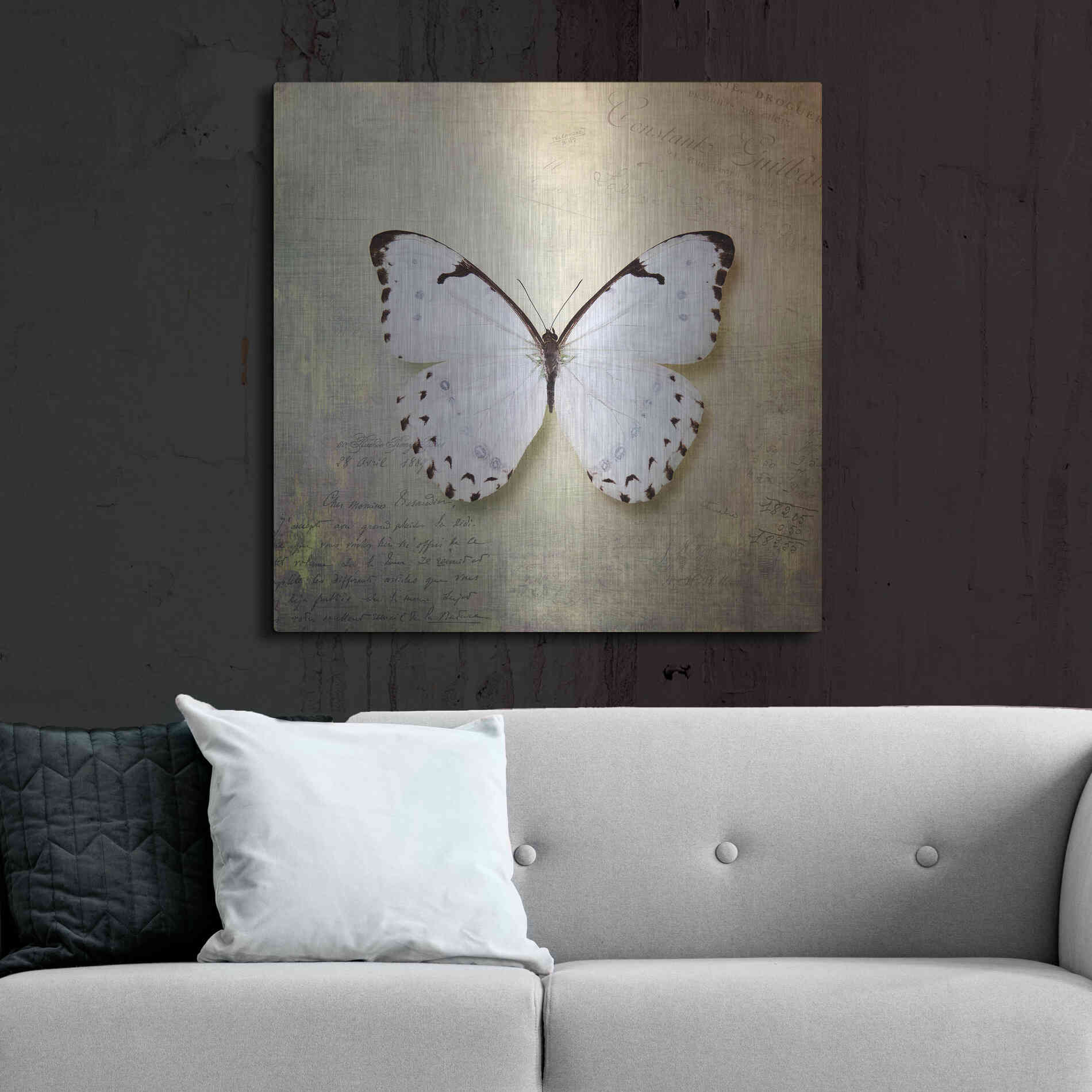 Luxe Metal Art 'French Butterfly II' by Debra Van Swearingen, Metal Wall Art,36x36