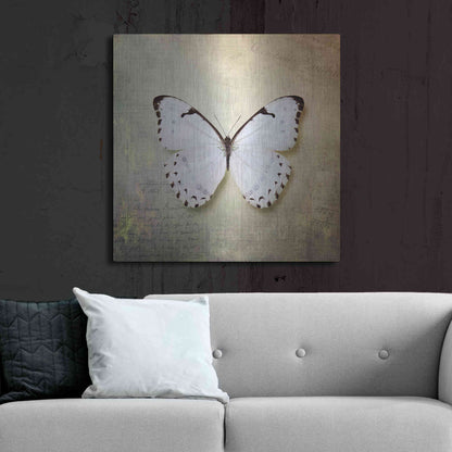 Luxe Metal Art 'French Butterfly II' by Debra Van Swearingen, Metal Wall Art,36x36