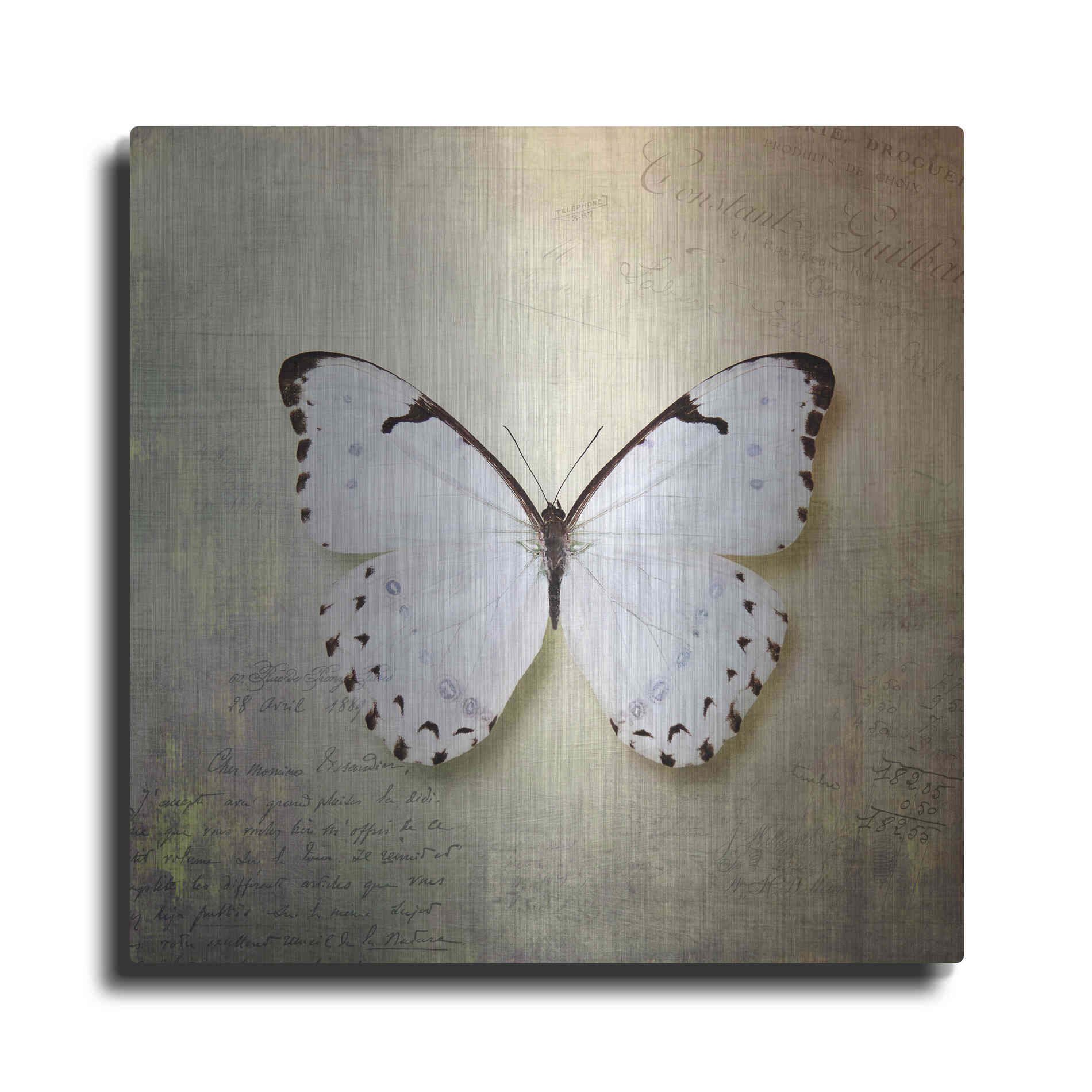 Luxe Metal Art 'French Butterfly II' by Debra Van Swearingen, Metal Wall Art