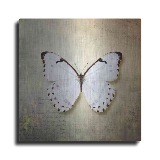 Luxe Metal Art 'French Butterfly II' by Debra Van Swearingen, Metal Wall Art