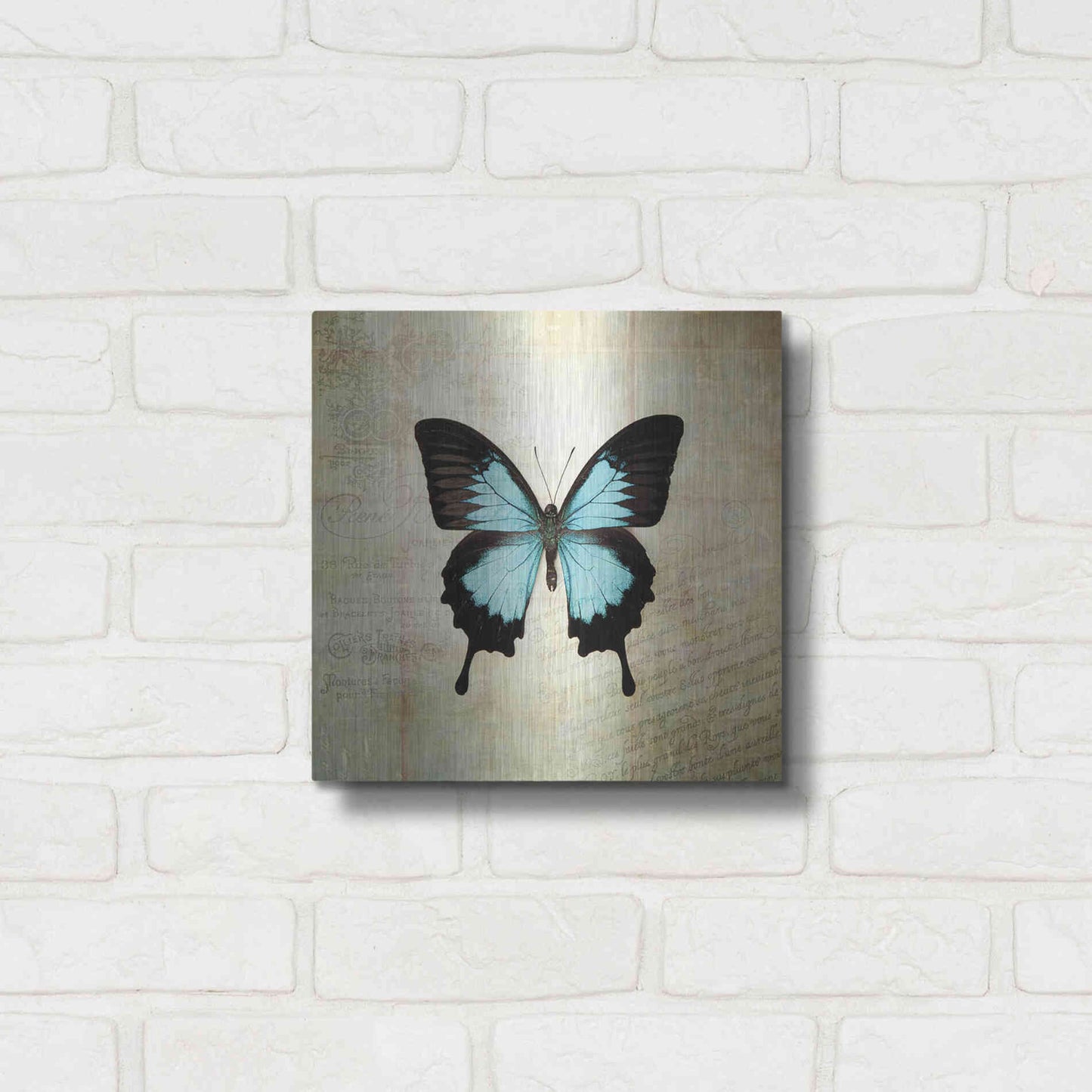 Luxe Metal Art 'French Butterfly III' by Debra Van Swearingen, Metal Wall Art,12x12