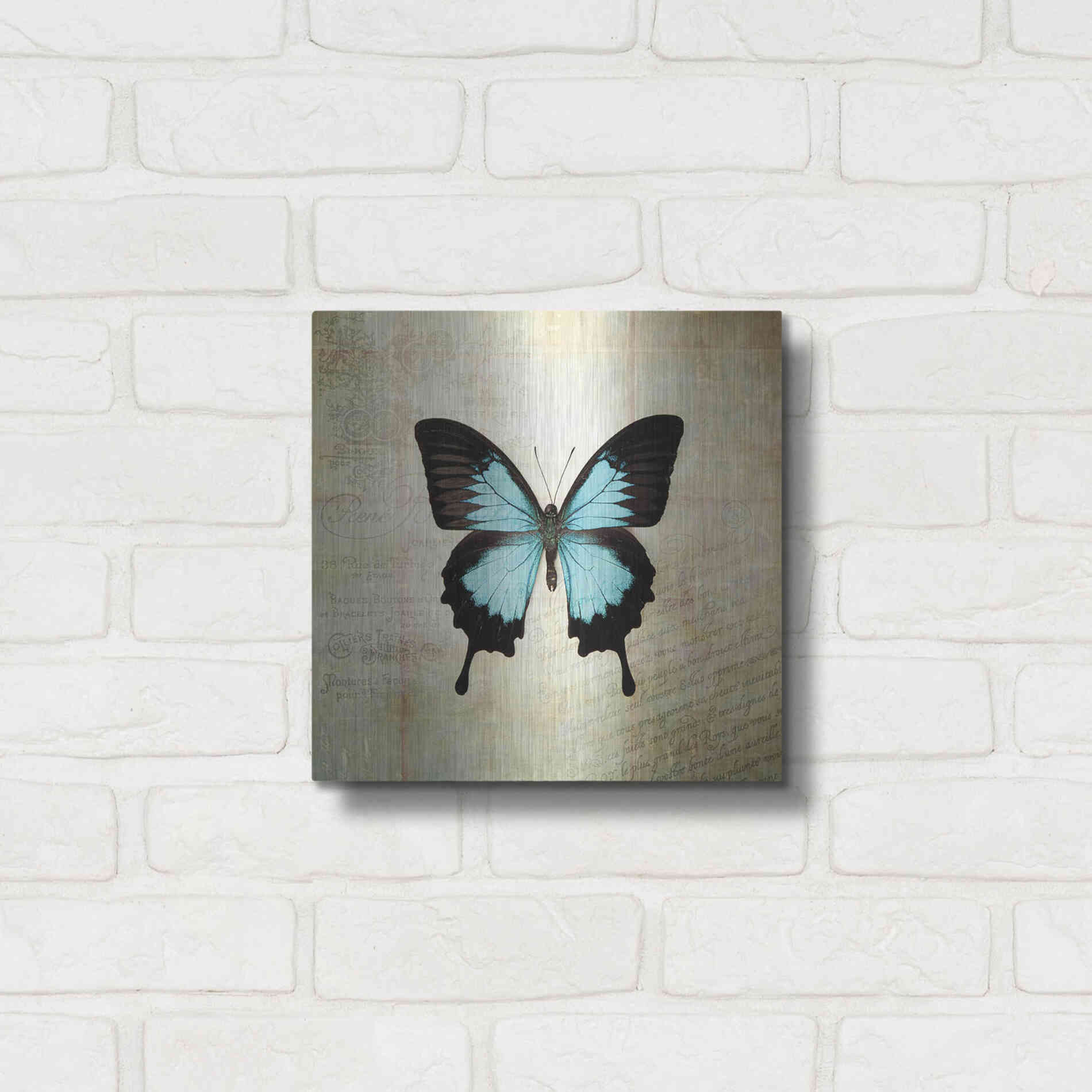 Luxe Metal Art 'French Butterfly III' by Debra Van Swearingen, Metal Wall Art,12x12