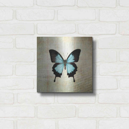 Luxe Metal Art 'French Butterfly III' by Debra Van Swearingen, Metal Wall Art,12x12