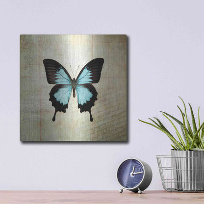 Luxe Metal Art 'French Butterfly III' by Debra Van Swearingen, Metal Wall Art,12x12