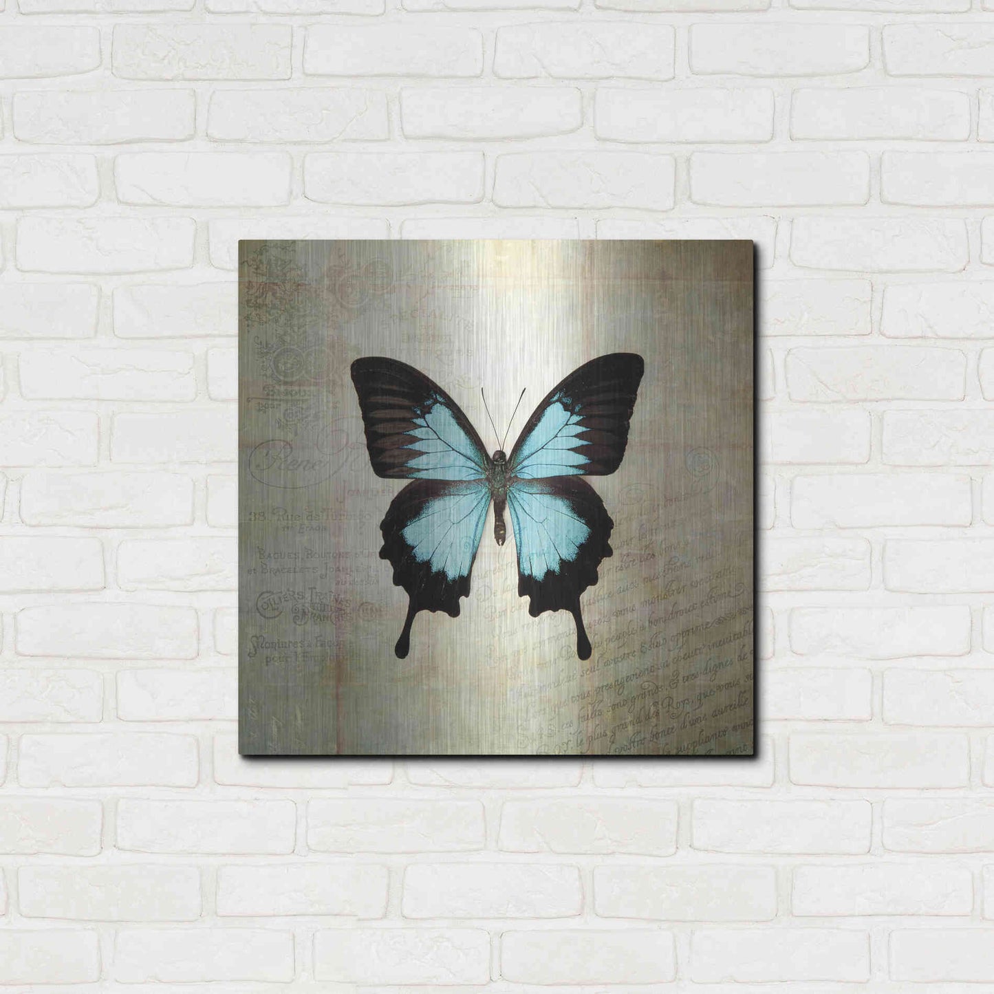 Luxe Metal Art 'French Butterfly III' by Debra Van Swearingen, Metal Wall Art,24x24