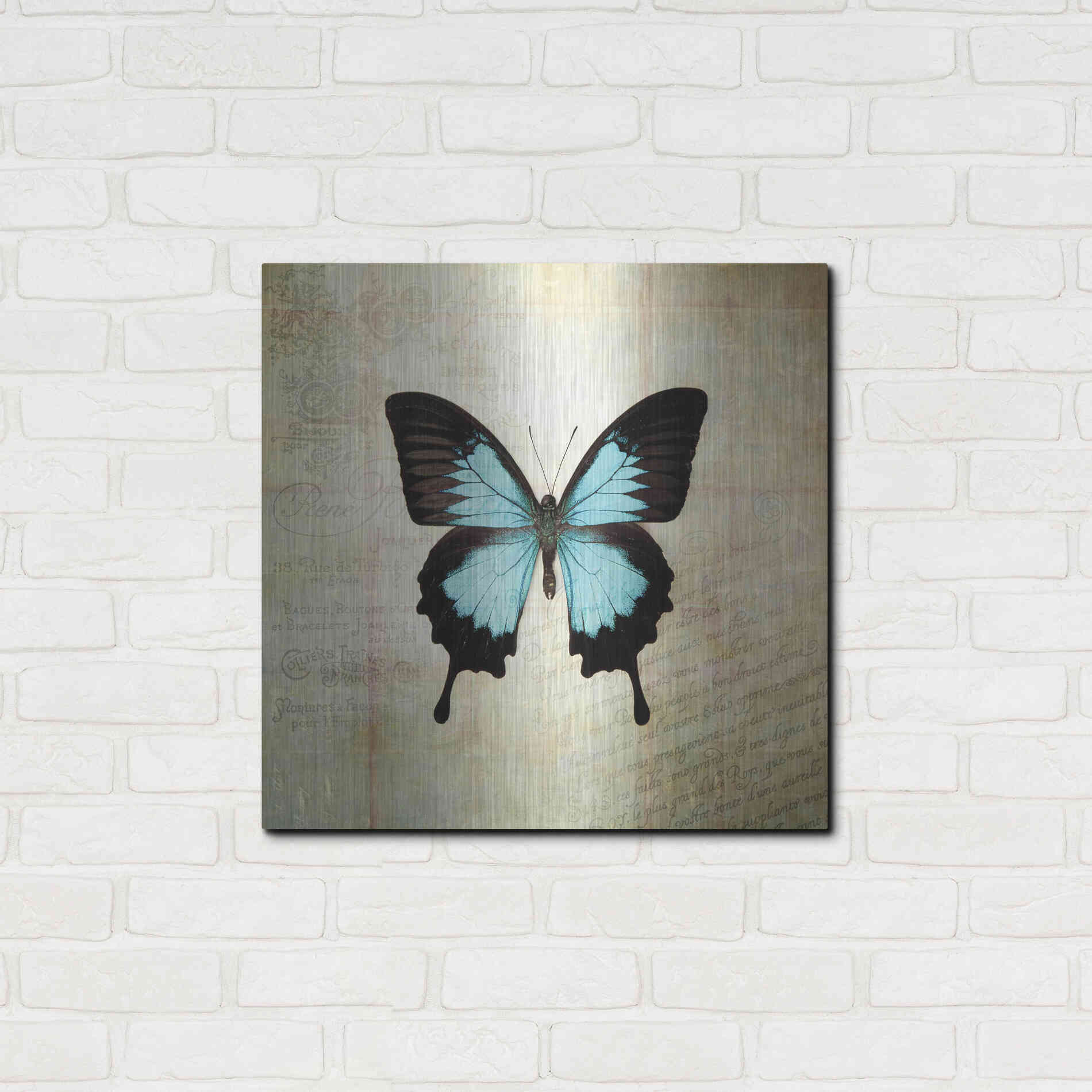 Luxe Metal Art 'French Butterfly III' by Debra Van Swearingen, Metal Wall Art,24x24