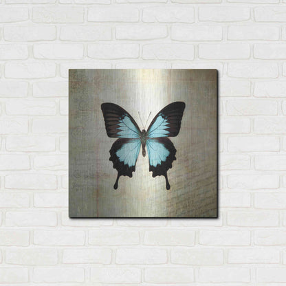 Luxe Metal Art 'French Butterfly III' by Debra Van Swearingen, Metal Wall Art,24x24