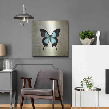 Luxe Metal Art 'French Butterfly III' by Debra Van Swearingen, Metal Wall Art,24x24