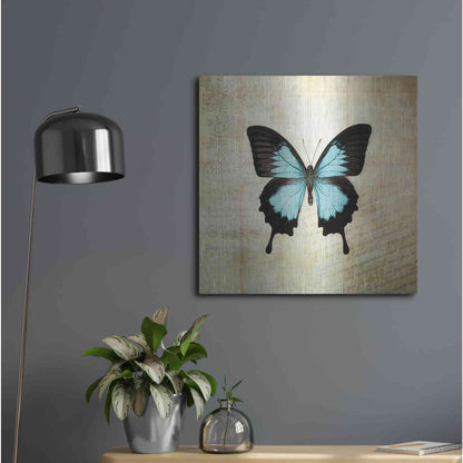 Luxe Metal Art 'French Butterfly III' by Debra Van Swearingen, Metal Wall Art,24x24