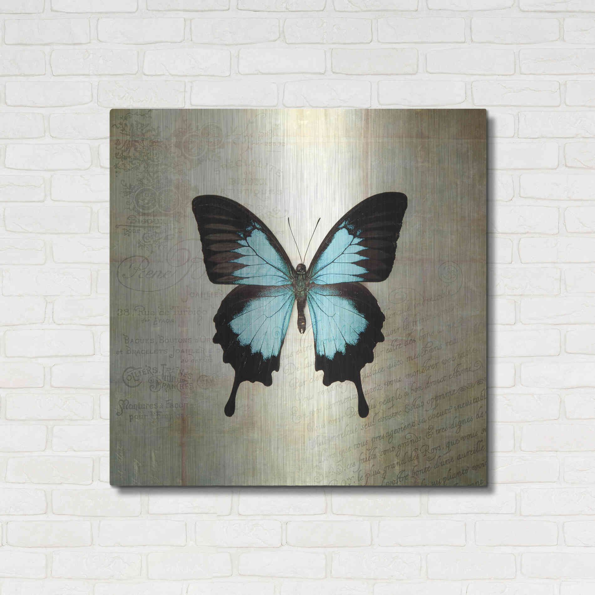 Luxe Metal Art 'French Butterfly III' by Debra Van Swearingen, Metal Wall Art,36x36