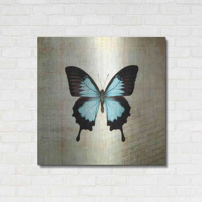 Luxe Metal Art 'French Butterfly III' by Debra Van Swearingen, Metal Wall Art,36x36