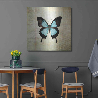 Luxe Metal Art 'French Butterfly III' by Debra Van Swearingen, Metal Wall Art,36x36