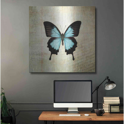 Luxe Metal Art 'French Butterfly III' by Debra Van Swearingen, Metal Wall Art,36x36