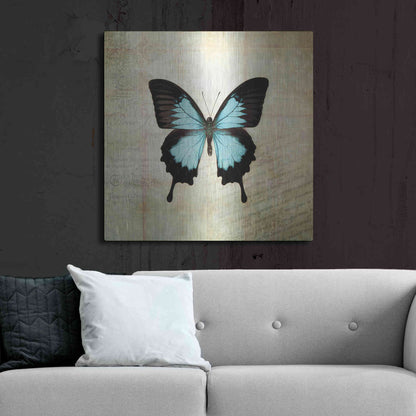 Luxe Metal Art 'French Butterfly III' by Debra Van Swearingen, Metal Wall Art,36x36