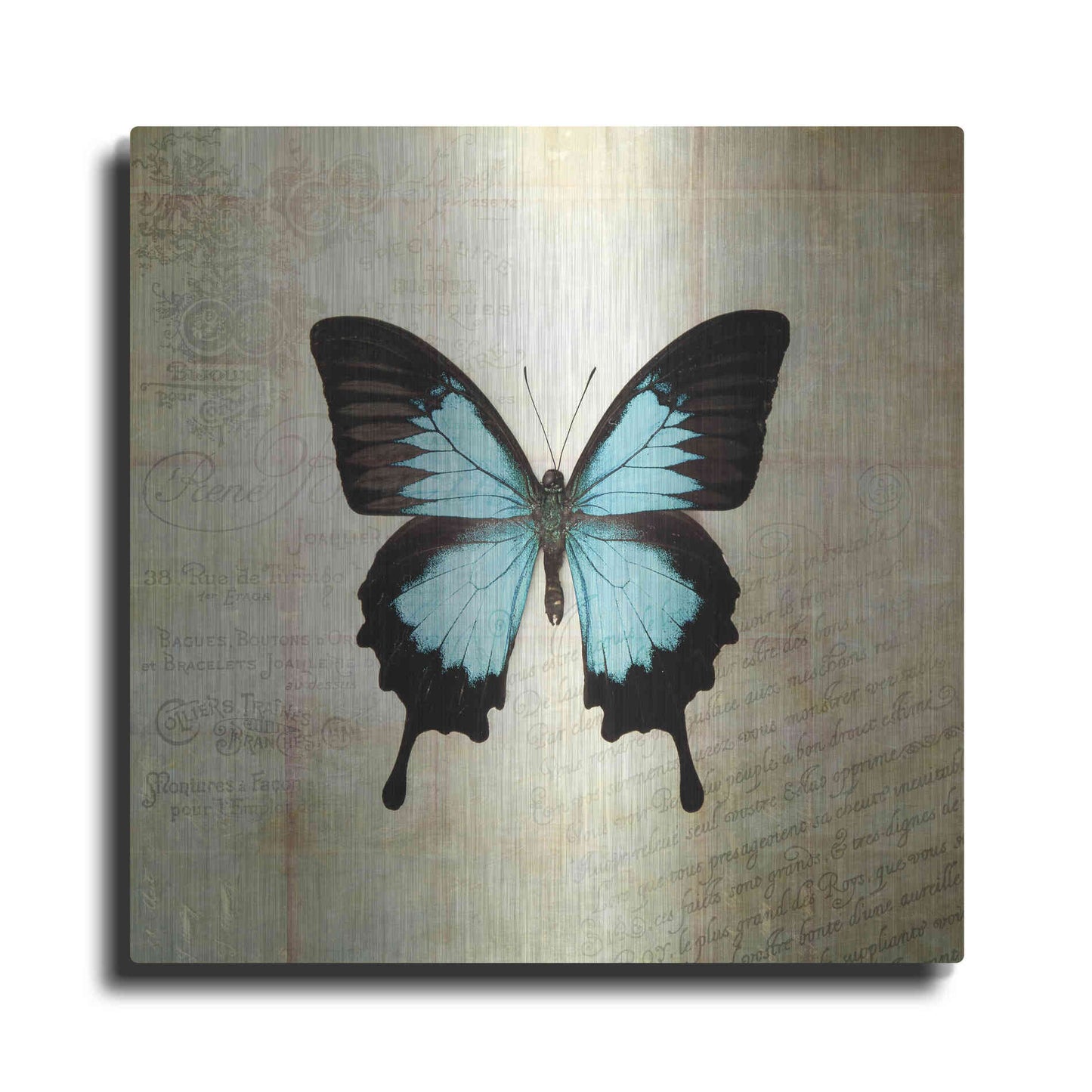 Luxe Metal Art 'French Butterfly III' by Debra Van Swearingen, Metal Wall Art