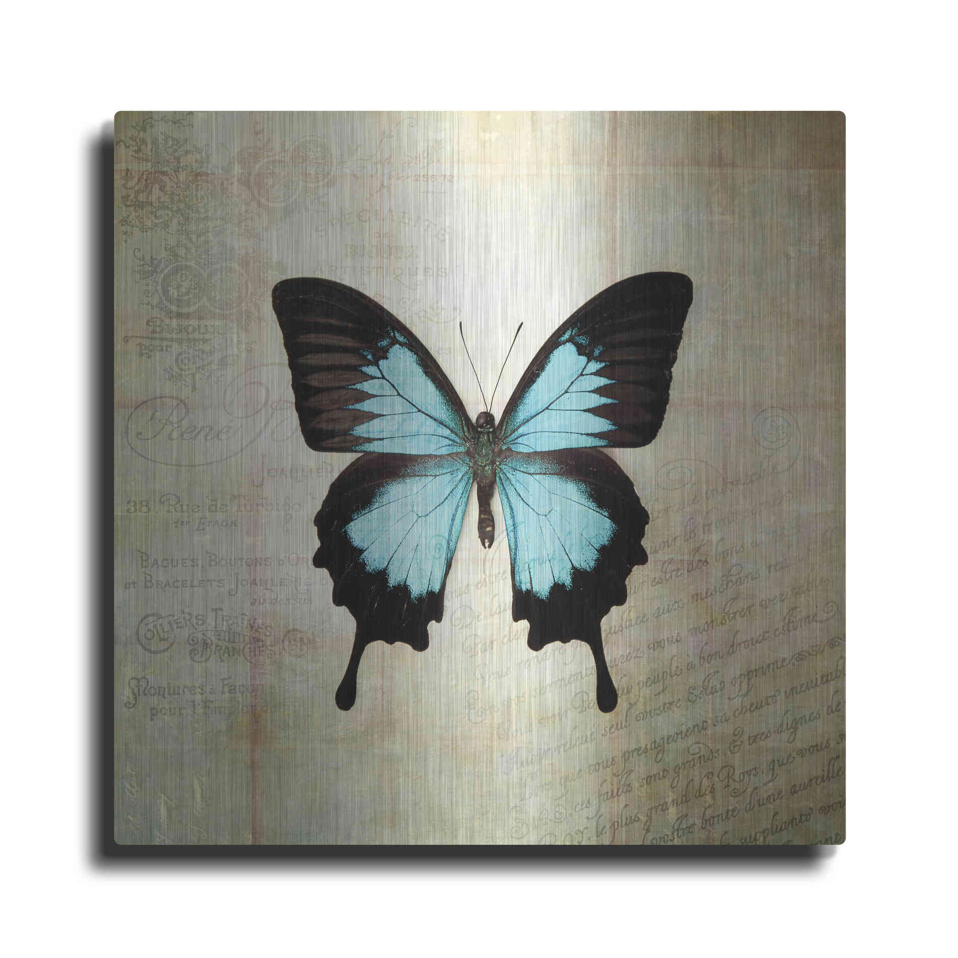 Luxe Metal Art 'French Butterfly III' by Debra Van Swearingen, Metal Wall Art