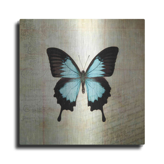 Luxe Metal Art 'French Butterfly III' by Debra Van Swearingen, Metal Wall Art