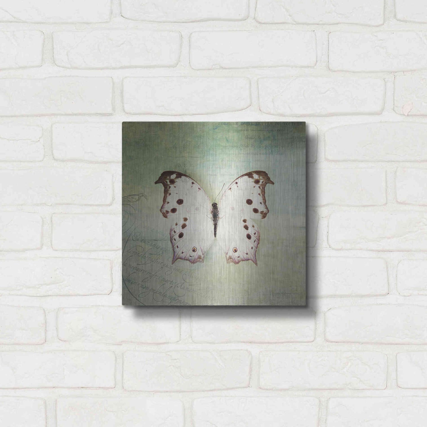 Luxe Metal Art 'French Butterfly IV' by Debra Van Swearingen, Metal Wall Art,12x12