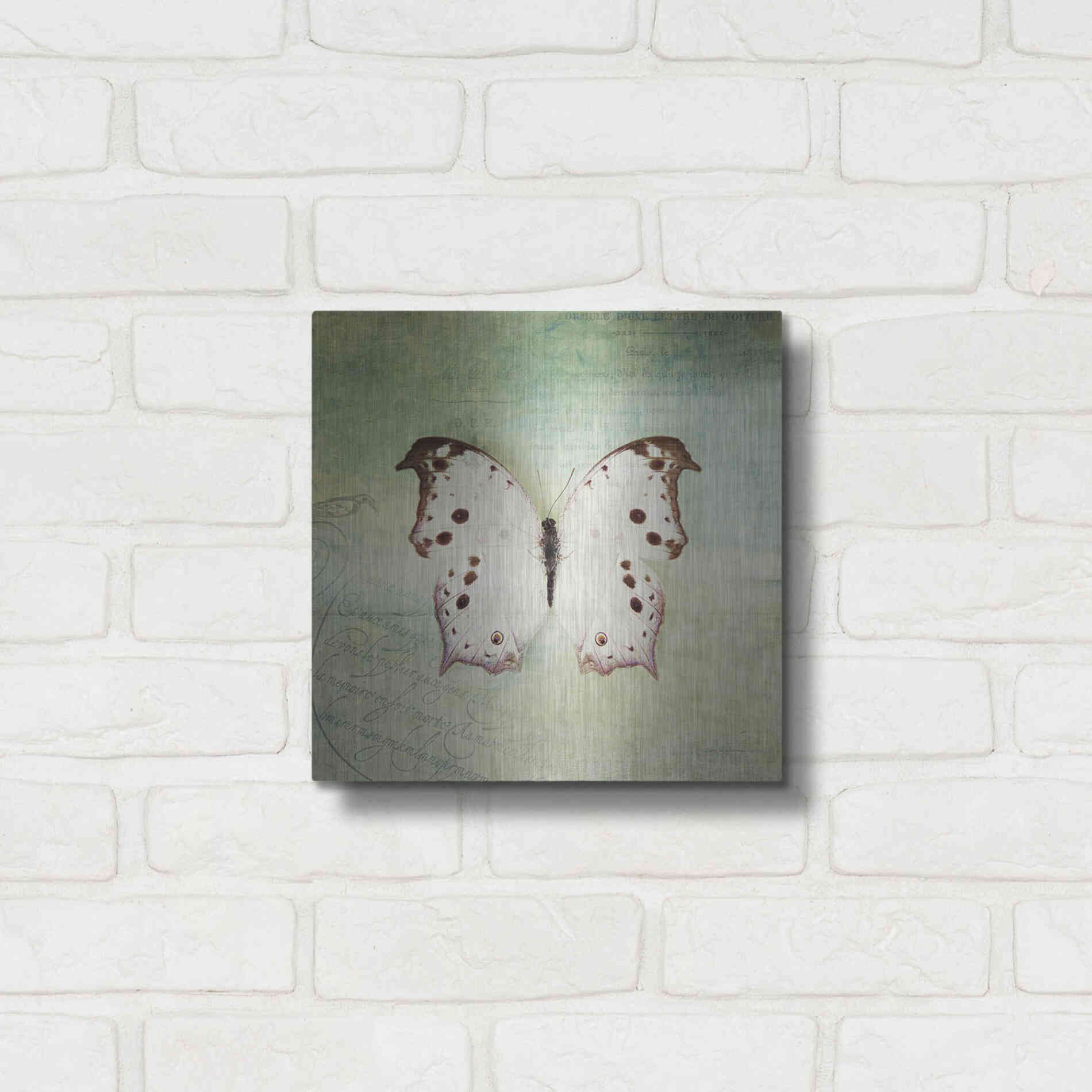 Luxe Metal Art 'French Butterfly IV' by Debra Van Swearingen, Metal Wall Art,12x12