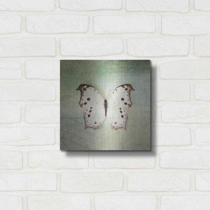 Luxe Metal Art 'French Butterfly IV' by Debra Van Swearingen, Metal Wall Art,12x12