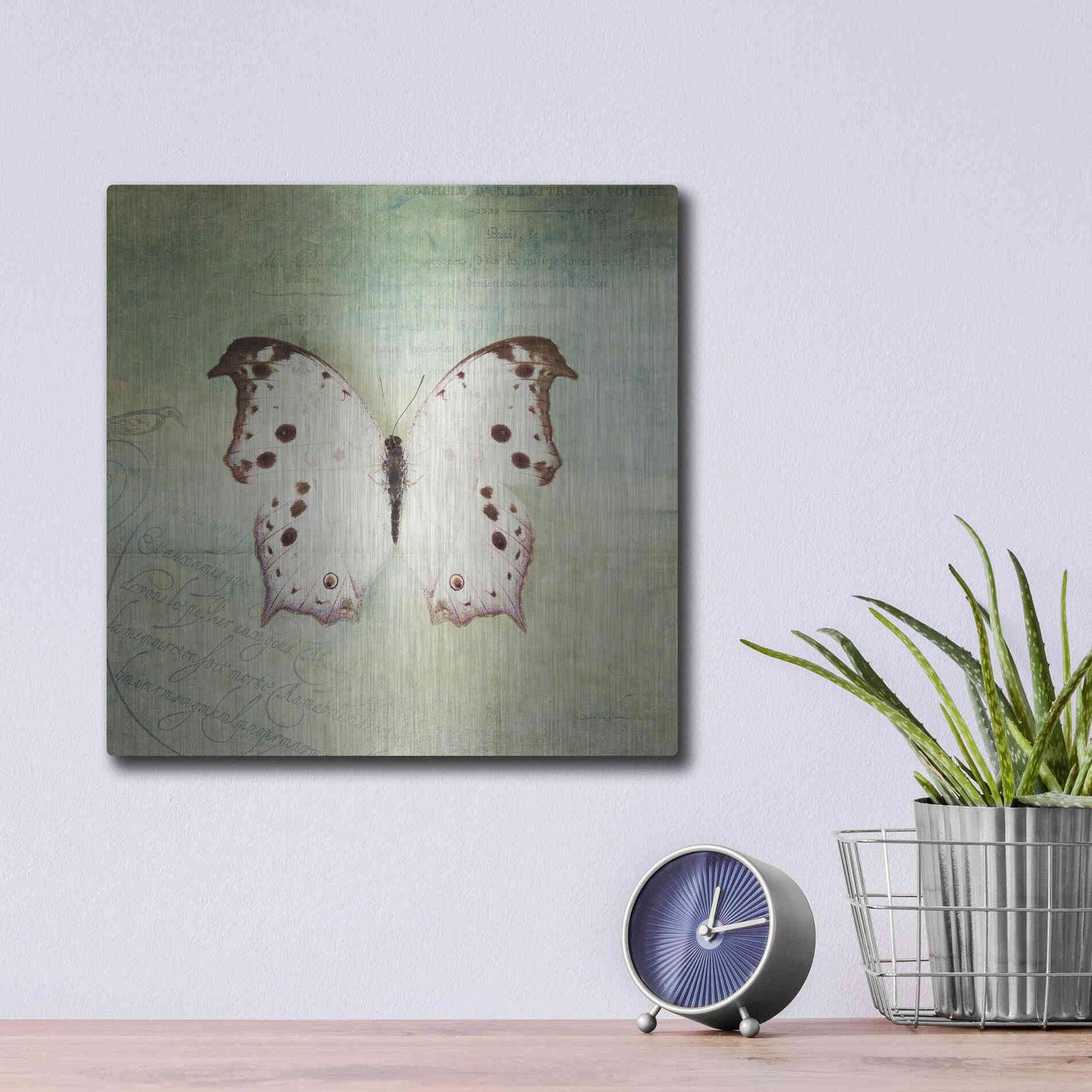 Luxe Metal Art 'French Butterfly IV' by Debra Van Swearingen, Metal Wall Art,12x12