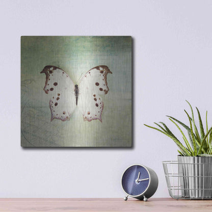 Luxe Metal Art 'French Butterfly IV' by Debra Van Swearingen, Metal Wall Art,12x12