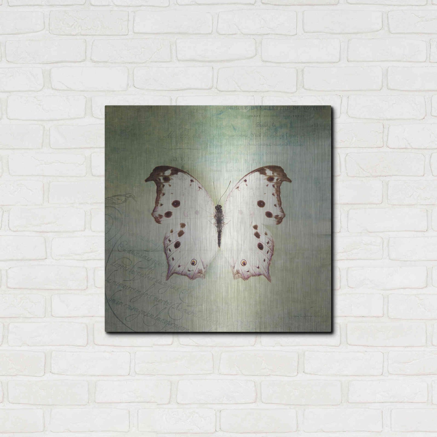 Luxe Metal Art 'French Butterfly IV' by Debra Van Swearingen, Metal Wall Art,24x24