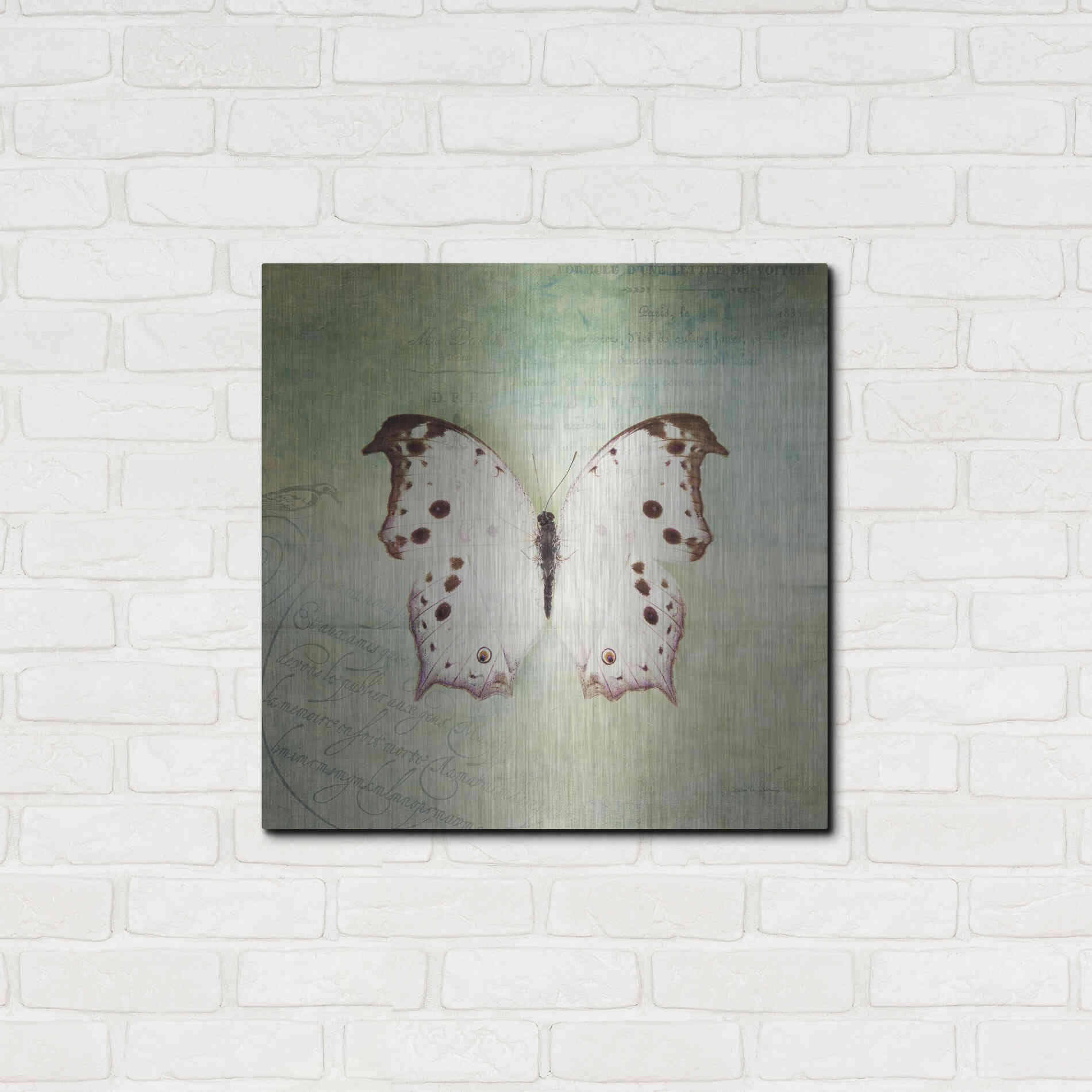 Luxe Metal Art 'French Butterfly IV' by Debra Van Swearingen, Metal Wall Art,24x24