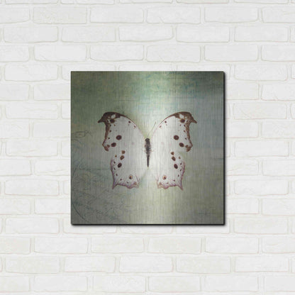 Luxe Metal Art 'French Butterfly IV' by Debra Van Swearingen, Metal Wall Art,24x24