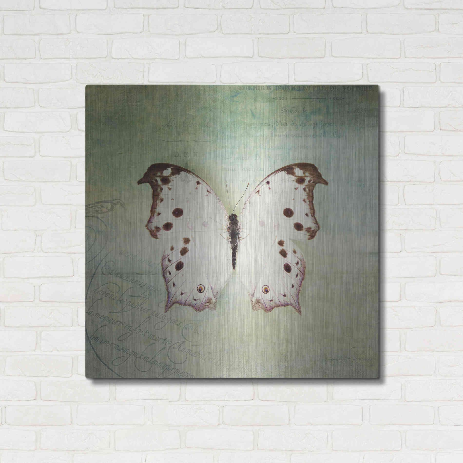 Luxe Metal Art 'French Butterfly IV' by Debra Van Swearingen, Metal Wall Art,36x36