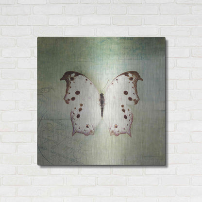 Luxe Metal Art 'French Butterfly IV' by Debra Van Swearingen, Metal Wall Art,36x36