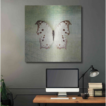 Luxe Metal Art 'French Butterfly IV' by Debra Van Swearingen, Metal Wall Art,36x36