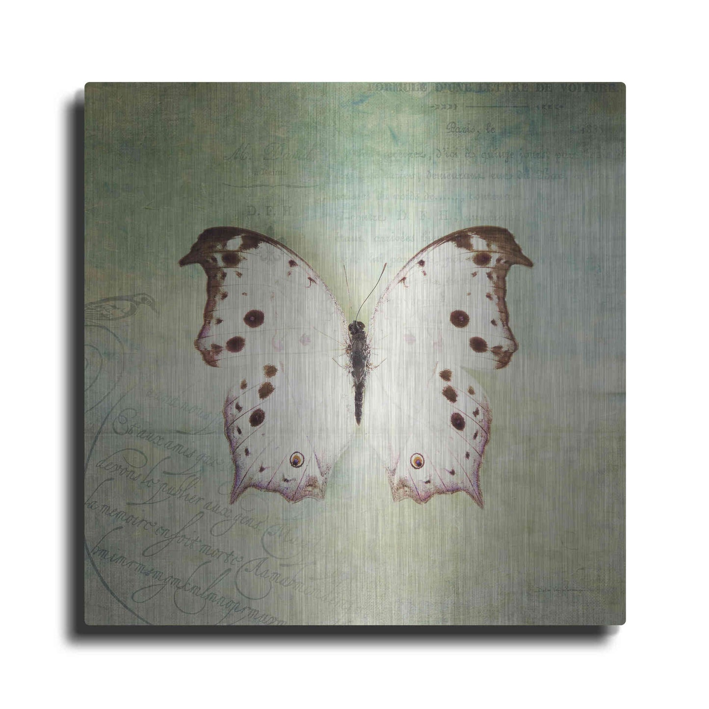 Luxe Metal Art 'French Butterfly IV' by Debra Van Swearingen, Metal Wall Art