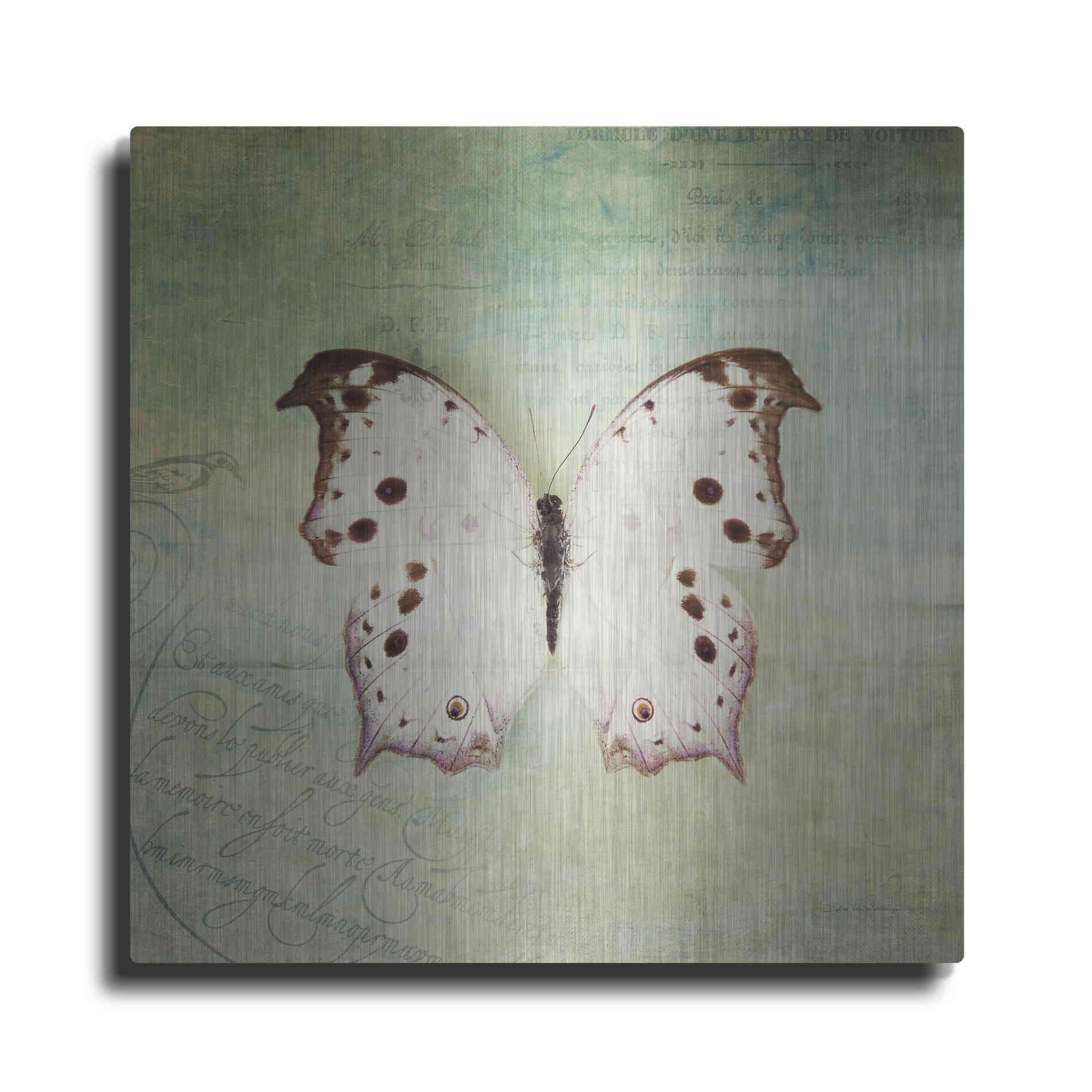 Luxe Metal Art 'French Butterfly IV' by Debra Van Swearingen, Metal Wall Art
