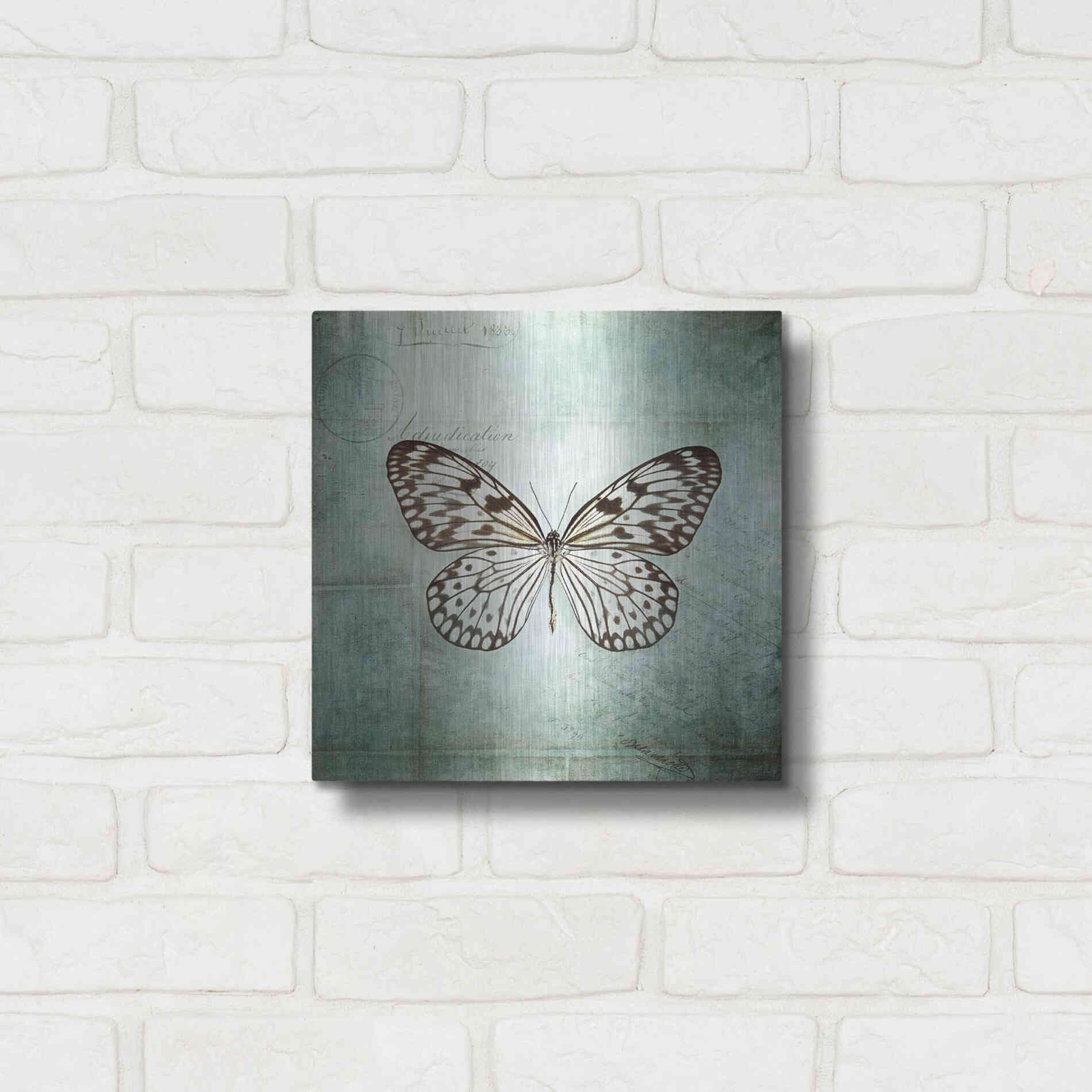 Luxe Metal Art 'French Butterfly V' by Debra Van Swearingen, Metal Wall Art,12x12